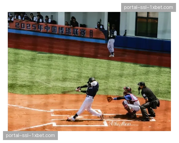 数据复盘：利用击球追踪系统分析本场比赛本垒打集中的区域与球种